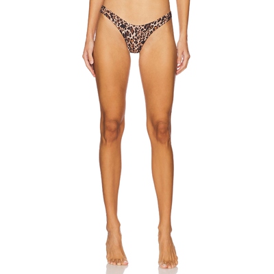 Agua Bendita AVY 比基尼泳裤 棕色REVOLVE小众新款