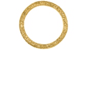 金属金色REVOLVE小众新款 项链 ARRECIFE SORDO