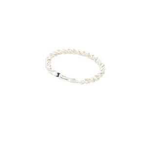 Bird 金属银色REVOLVE小众新款 RIZZO 手镯 链式 Jenny