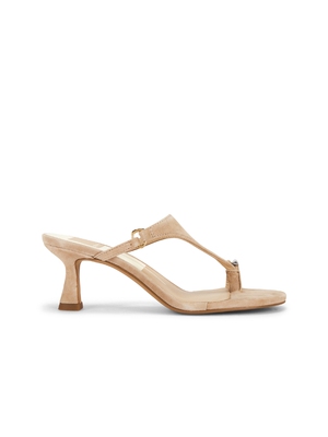 Dolce Vita Derrel Sandal revolve小众新款
