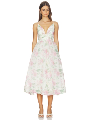 ASTR the Label JANNA 连衣裙 revolve小众新款