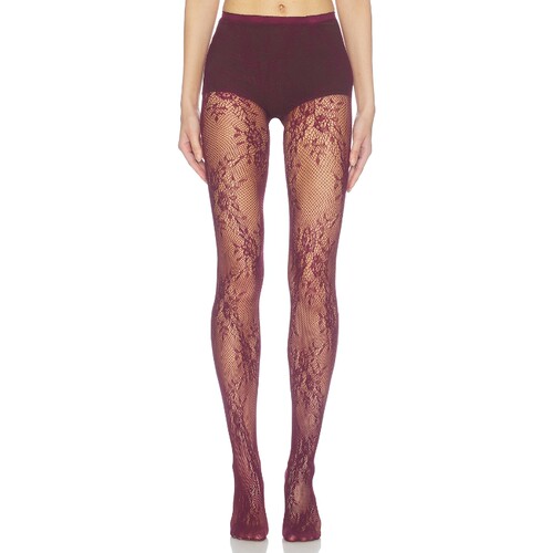 petit moments STRETCH LACE TIGHTS 蕾丝紧身裤  葡萄酒色 秋冬