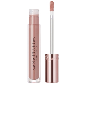 Anastasia Beverly Hills LIP GLOSS 唇彩 revolve小众新款 灰褐