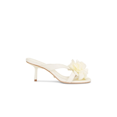 RAYE FLOR 高跟 26春夏新品 revolve小众新款