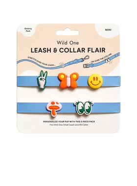 Wild One Small Flair Groovy Walk Charms BundleREVOLVE小众新
