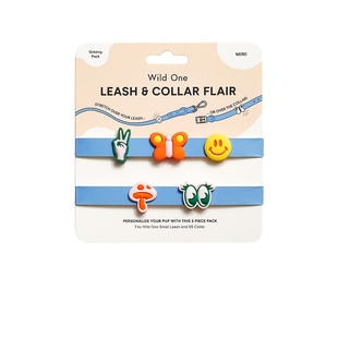 Flair Small Groovy Walk BundleREVOLVE小众新 Wild Charms One