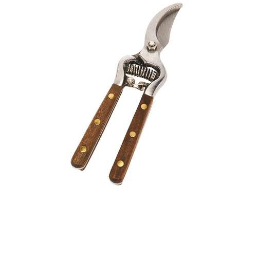 Verve Culture Thai Kitchen ＆ Garden Shears Metallic Silver,