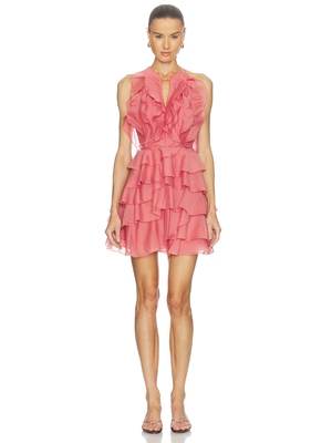 Aje CLEO 裙子 revolve小众新款