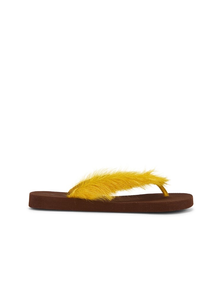 Marni 凉鞋 26夏季新品 revolve小众新款