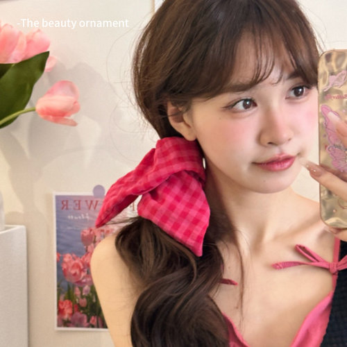 甜美少女树莓粉格子大肠发圈