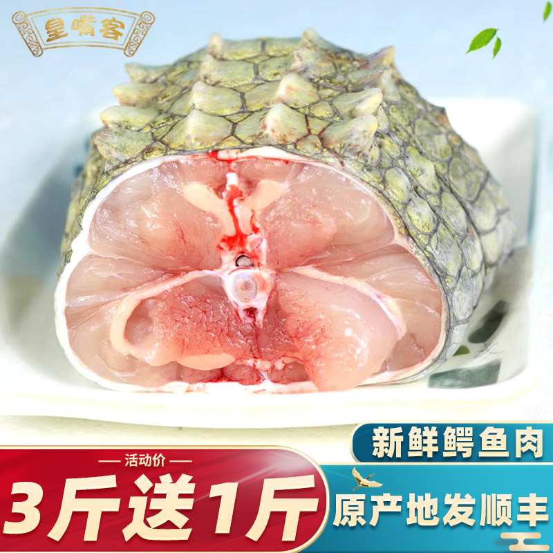 新鲜鳄鱼肉 新鲜养殖鳄鱼1斤整只暹罗鳄鱼带皮每天现杀顺丰空运