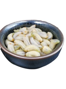 野生马蜂蛹新鲜一级500克高蛋白
