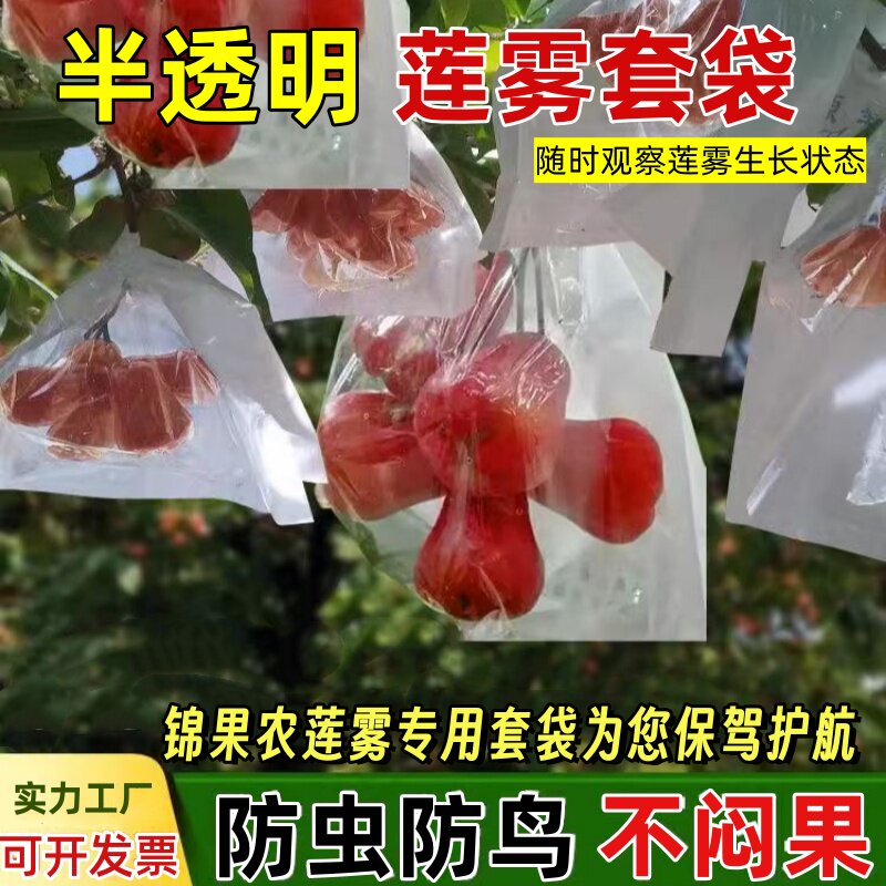 莲雾黑金刚专用套袋防虫防水