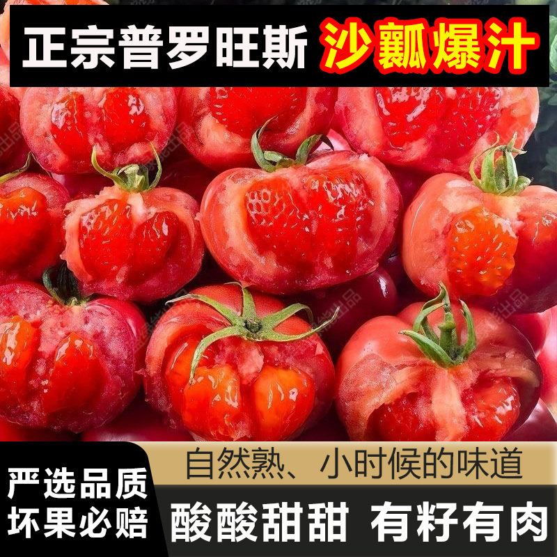 【普罗旺斯西红柿】露天沙瓤柿子生吃自然熟农家现摘番茄新鲜蔬菜