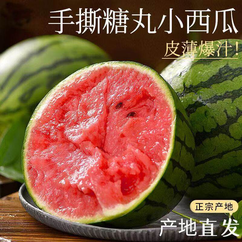 【麒麟西瓜】手撕小糖丸西瓜糖麒麟瓜脆甜多汁当季水果