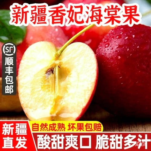 新疆伊犁鸡心小苹果香妃海棠果