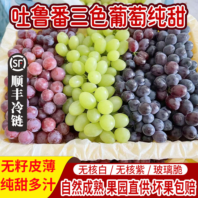 新疆吐鲁番三色葡萄新鲜采摘顺丰