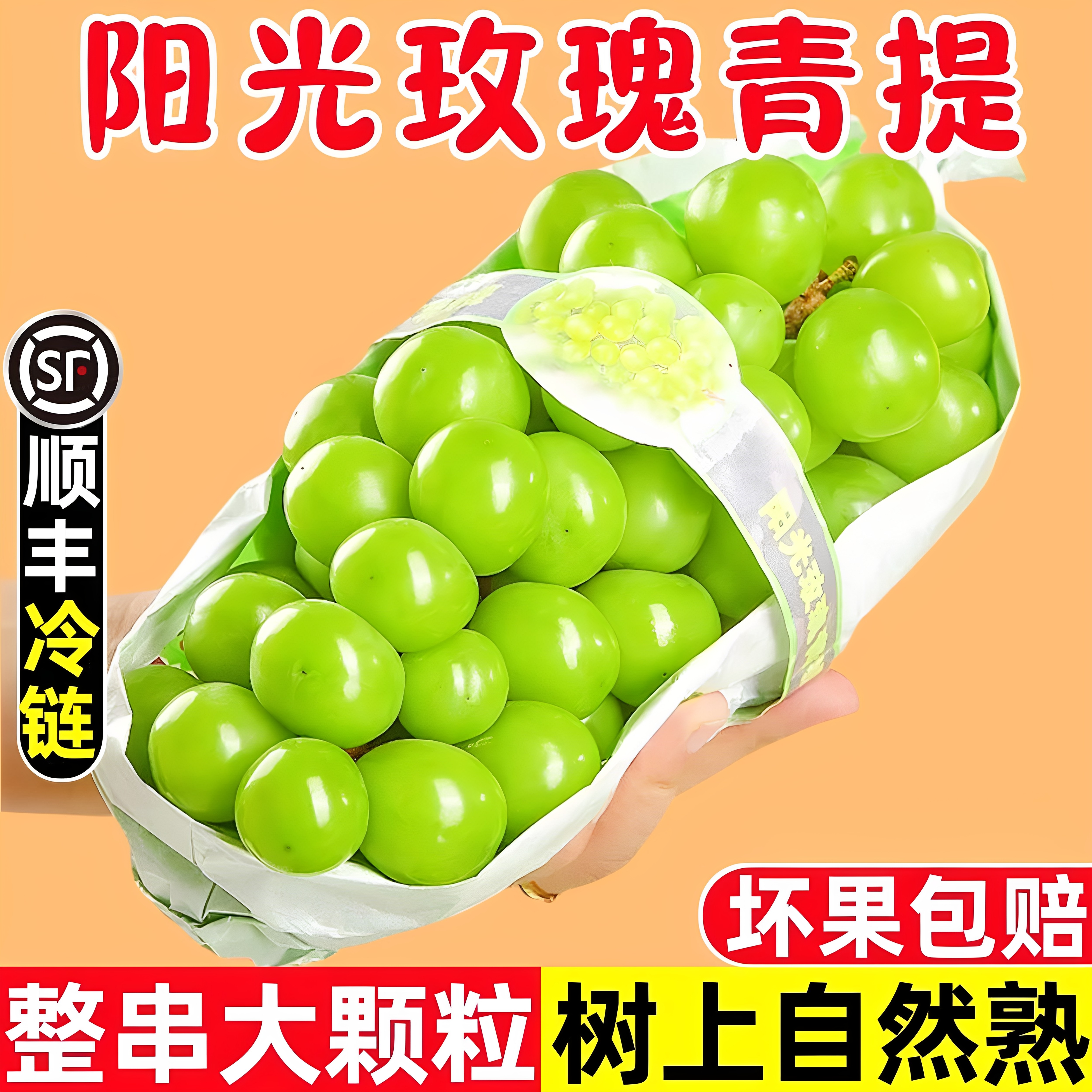 甘味优选四川大凉山正宗阳光玫瑰葡萄树上熟无籽青提新鲜水果