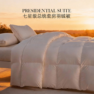 斯得福高端品牌旗舰店波兰羽绒被芯95白鹅绒加厚冬天星级酒店专用