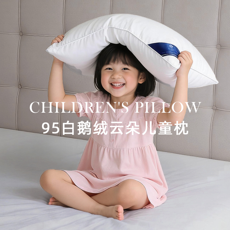 希尔顿酒店同款羽绒枕送全棉枕套