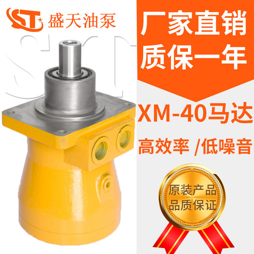 厂家直销徐工回转马达XM-F40L 轴向柱塞泵（马达）XMF75F吊机专业