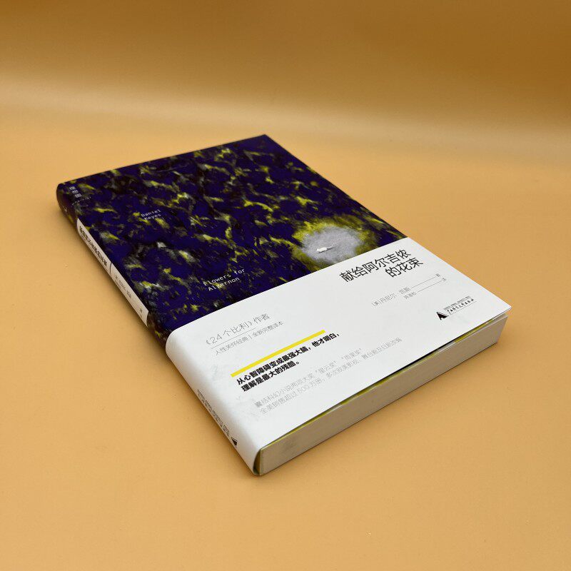 献给阿尔吉侬的花束 [2015年5月出版 2022年5月重印] 囊括科幻小说星云奖雨果奖  24个比利战争作者丹尼尔凯斯文学力作怎么看?