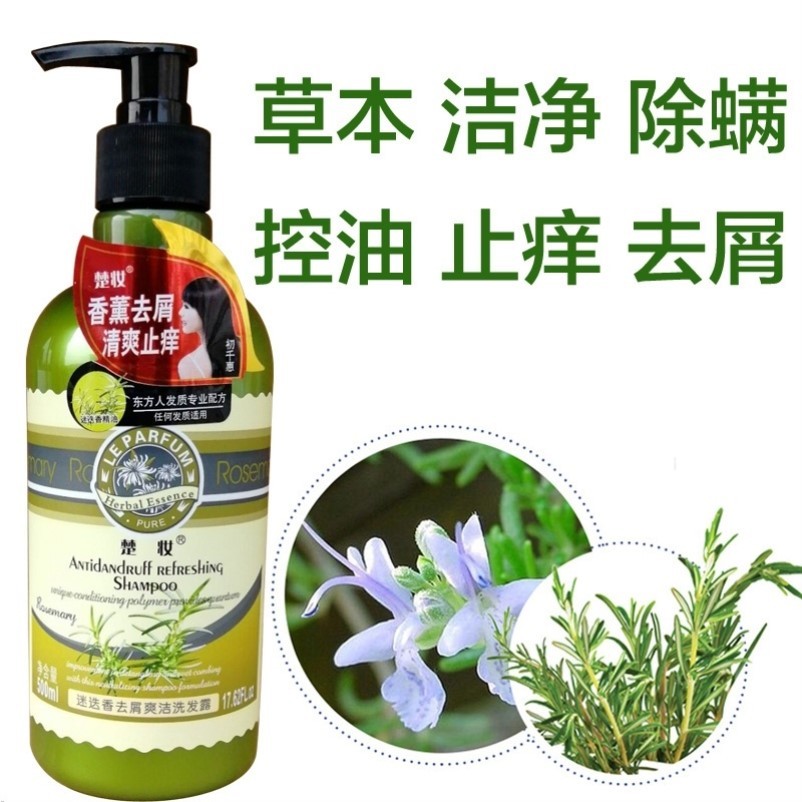 楚妆异株荨迷洗发水除螨无硅控油去屑异株荨麻迷迭香孕妇洗发露。