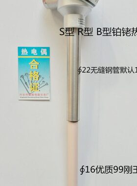 铂铑热电偶S型B型WRP-130/WRR-130/0-1600℃高温电炉专用精密测量