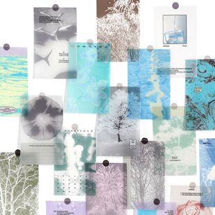 慢热季节系列硫酸纸素材包10张入 ins风花卉手帐背景打底装饰拼贴