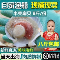 大扇贝超大新鲜冷冻半壳扇贝海鲜蒜蓉粉丝扇贝即食蒸烤夏夷贝8斤