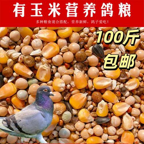 鸽粮100斤包邮5斤装鸽子粮有玉米营养鸽粮幼鸽饲料鸟食信鸽观赏鸽