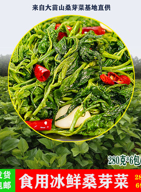 广西新鲜采摘桑叶速冻青菜