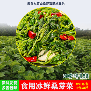 广西融水新鲜采摘嫩桑叶桑芽速冻280g*6包冷冻壮芽菜酒店上汤青菜