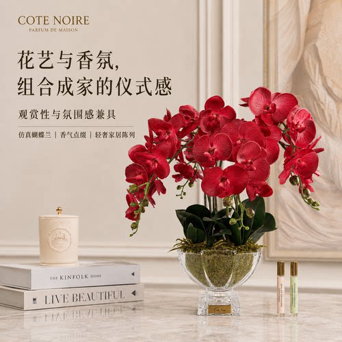 仿真花蝴蝶兰无火香氛花