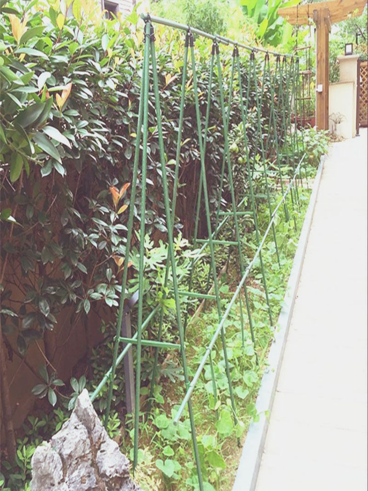 简易瓜棚架价格 简易瓜棚架图片 星期三