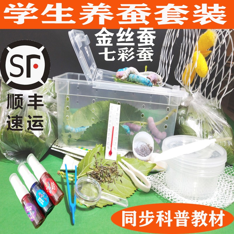 科普蚕宝宝套装儿童学生养蚕活体幼虫蚕卵活物金丝七彩小蚕彩色茧