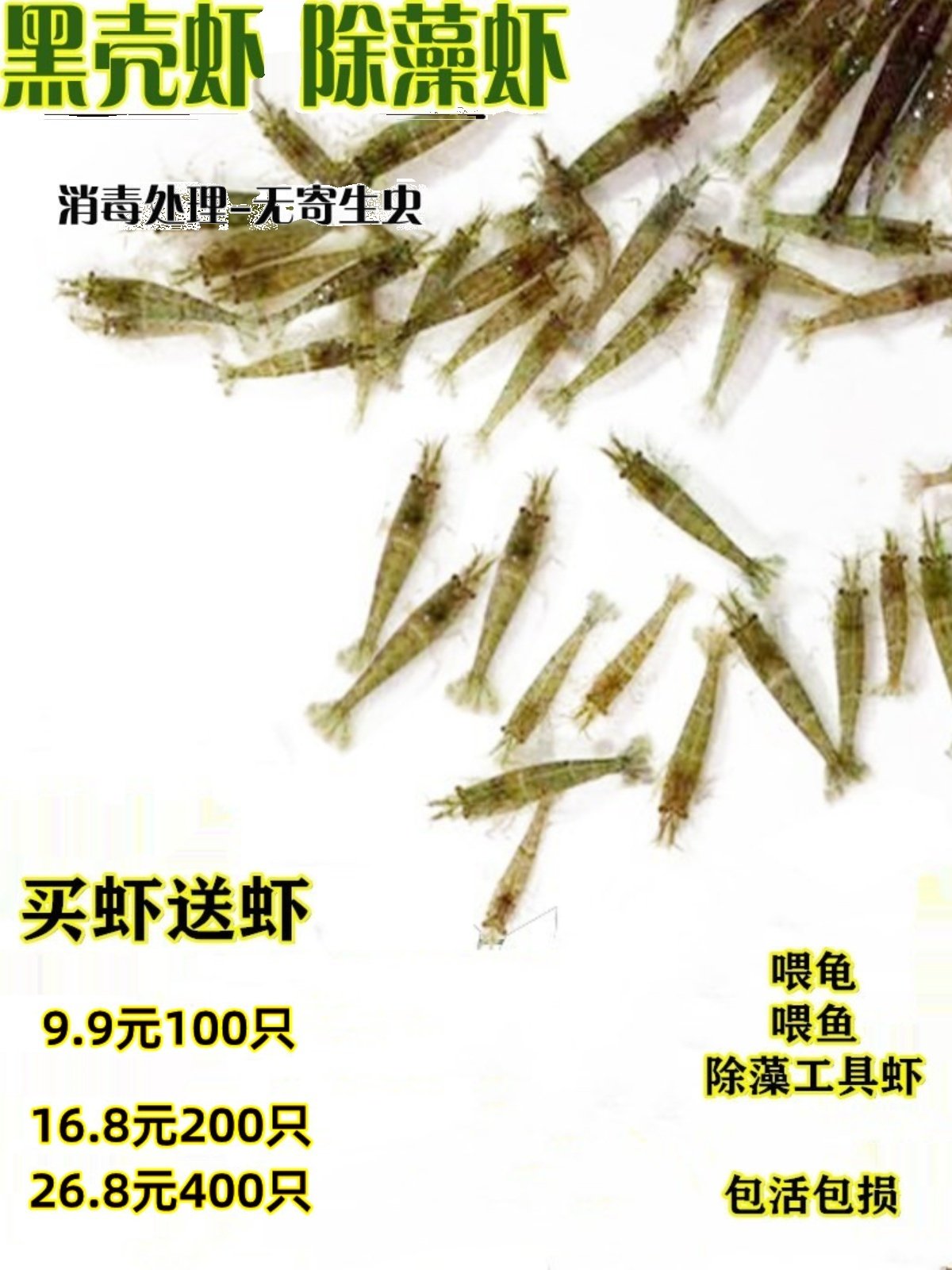 繁殖最快的活虾小观赏淡水虾苗除藻清洁虾冷水鱼缸里养的小虾喂龟,宠物/宠物食品及用品,虾,淘宝优惠券,粉丝福利购,淘宝优惠卷