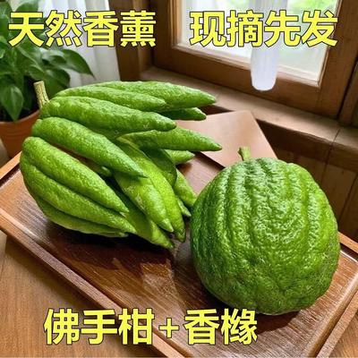 云南高山香橼新鲜果佛手柑