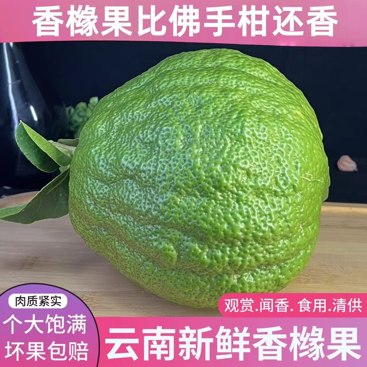 云南香橼新鲜果佛手柑现摘