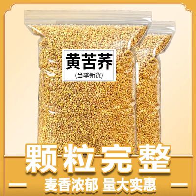 苦荞茶降血糖血压三高茶