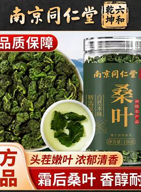同仁堂桑叶茶降血糖血压三高茶