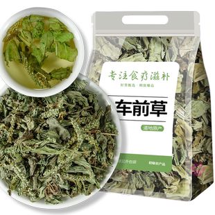 车前草中药材500g克袋泡茶包正品野生新鲜泡水喝降粉尿酸和猫爪草