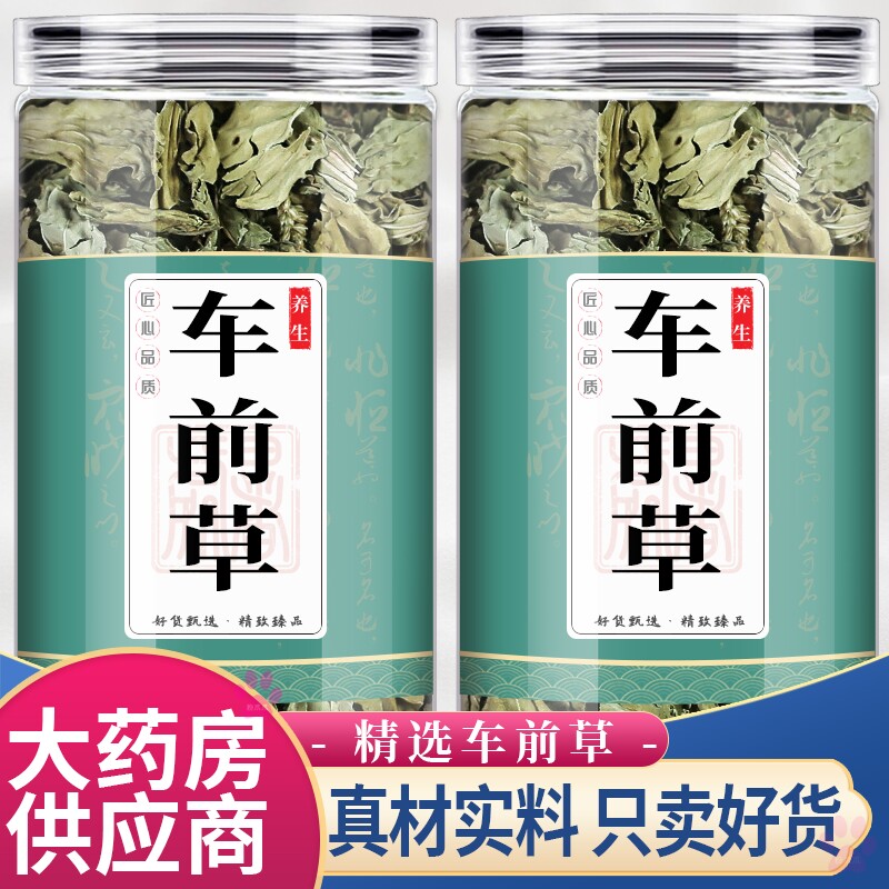 车前草中药材50g袋泡茶包正品