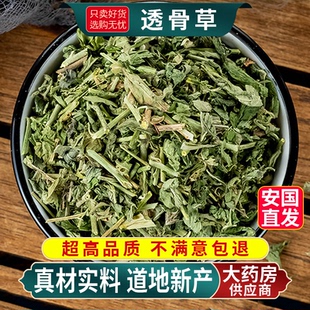 透骨草中药材500g正品旗舰店野生泡茶水的功效与作用和伸筋草泡脚