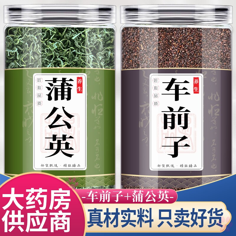 车前子和蒲公英中药材组合茶