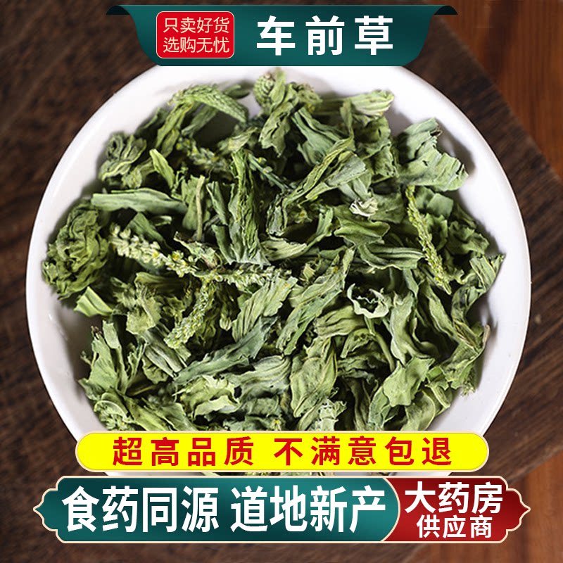 车前草野生干货官方旗舰店中药材正品新鲜泡茶水喝的功效与作用钱