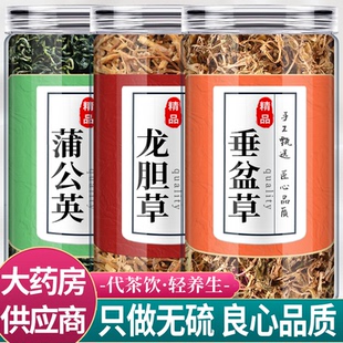 蒲公英龙胆草垂盆草中药材茶包正品浦公英龙旦草野生泡水喝功效和