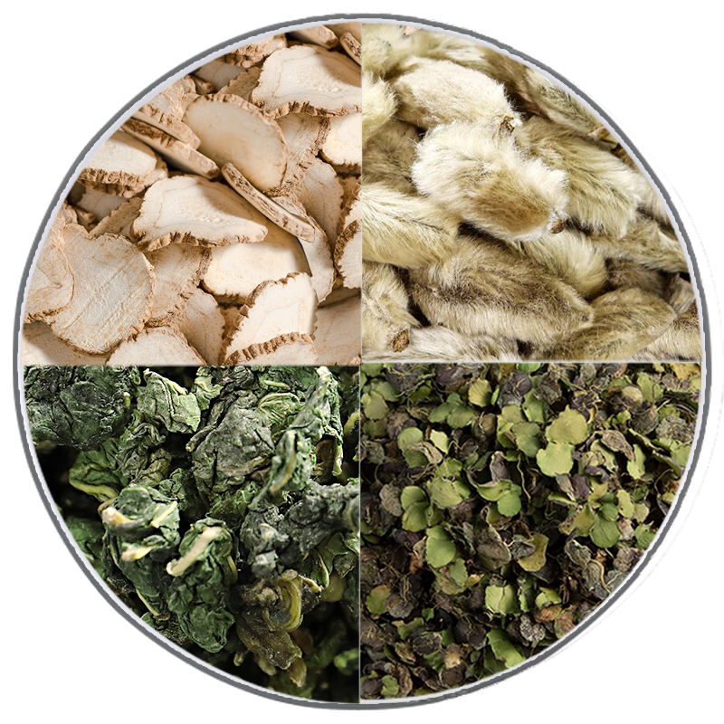 白芷辛夷花桑叶浮萍泡茶泡水喝
