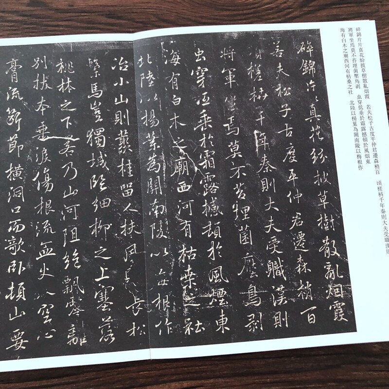 褚遂良枯树赋孟法师碑褚遂良毛笔行书楷书字帖原碑书法临摹字帖