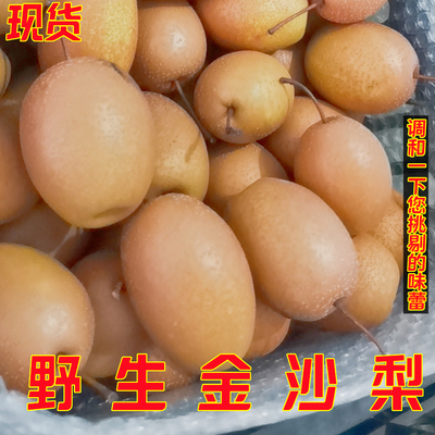 老品种小红梨现摘金珠果农家自种